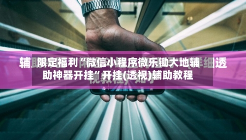 限定福利“微信小程序微乐锄大地辅助神器开挂”开挂(透视)辅助教程-第2张图片