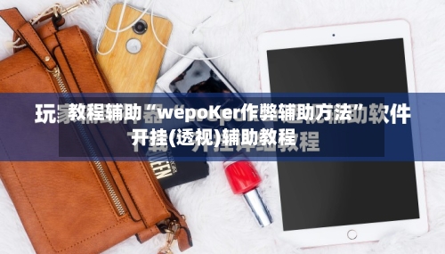 教程辅助“wepoKer作弊辅助方法”开挂(透视)辅助教程-第1张图片