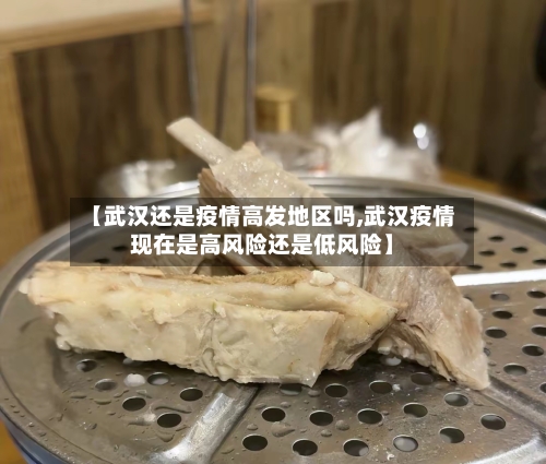 【武汉还是疫情高发地区吗,武汉疫情现在是高风险还是低风险】-第3张图片