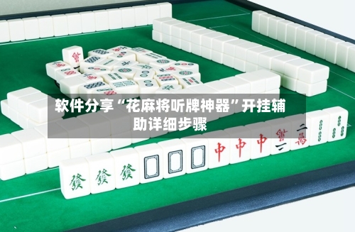软件分享“花麻将听牌神器”开挂辅助详细步骤-第3张图片