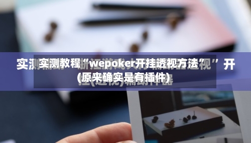 实测教程“wepoker开挂透视方法	”(原来确实是有插件)-第2张图片