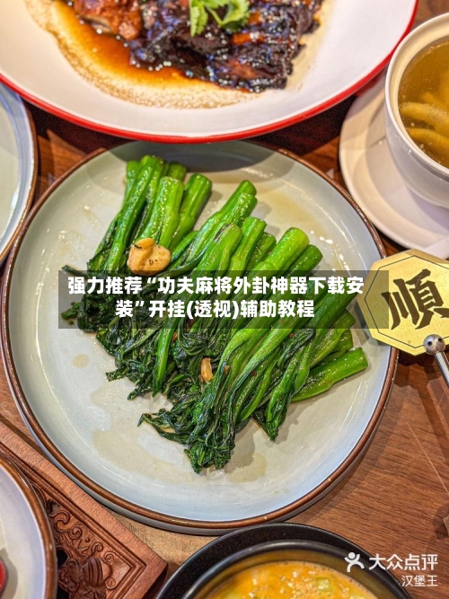 强力推荐“功夫麻将外卦神器下载安装”开挂(透视)辅助教程-第3张图片