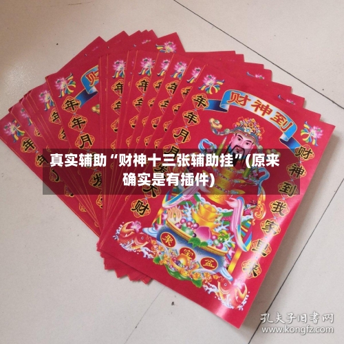 真实辅助“财神十三张辅助挂	”(原来确实是有插件)-第1张图片