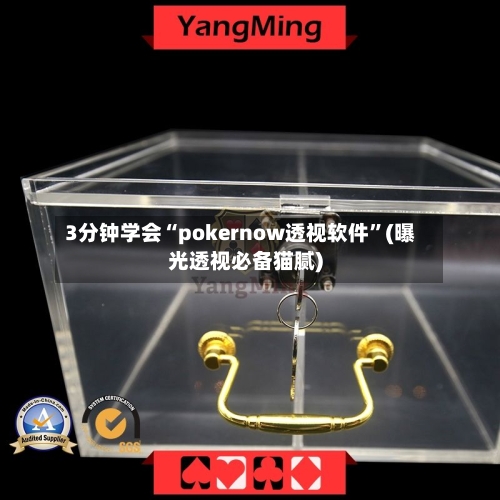 3分钟学会“pokernow透视软件”(曝光透视必备猫腻)-第1张图片