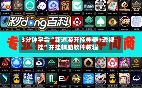 3分钟学会“新道游开挂神器+透视挂	”开挂辅助软件教程-第1张图片