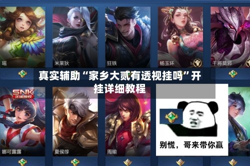 真实辅助“家乡大贰有透视挂吗”开挂详细教程-第1张图片