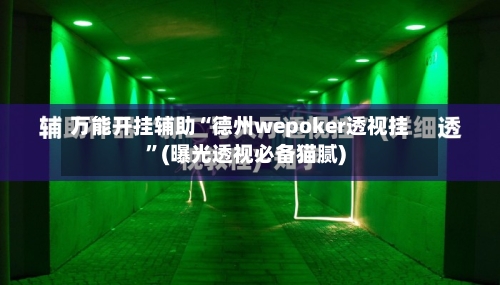 万能开挂辅助“德州wepoker透视挂	”(曝光透视必备猫腻)-第1张图片