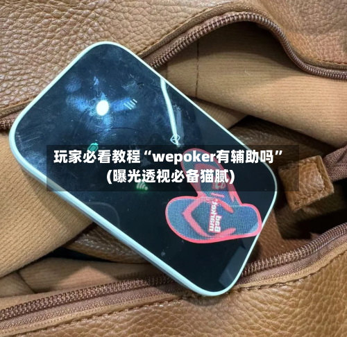 玩家必看教程“wepoker有辅助吗	”(曝光透视必备猫腻)-第2张图片