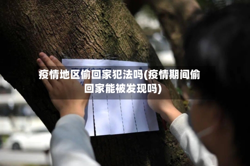 疫情地区偷回家犯法吗(疫情期间偷回家能被发现吗)-第2张图片