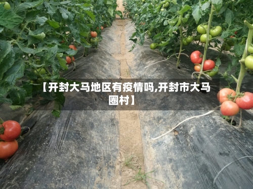 【开封大马地区有疫情吗,开封市大马圈村】-第1张图片
