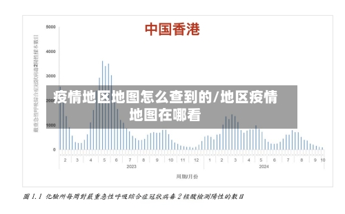 疫情地区地图怎么查到的/地区疫情地图在哪看-第1张图片