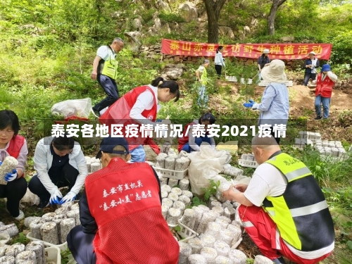 泰安各地区疫情情况/泰安2021疫情-第1张图片