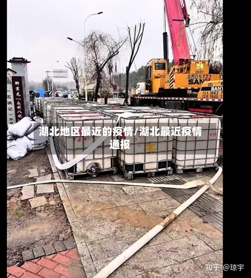 湖北地区最近的疫情/湖北最近疫情通报-第1张图片