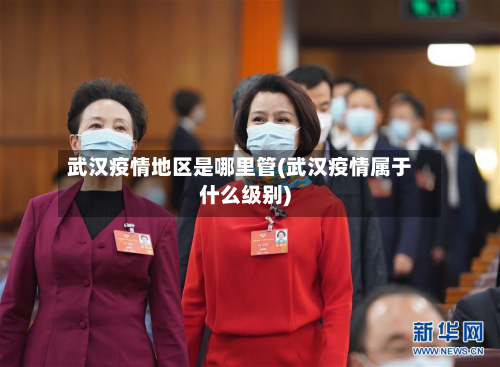 武汉疫情地区是哪里管(武汉疫情属于什么级别)-第1张图片