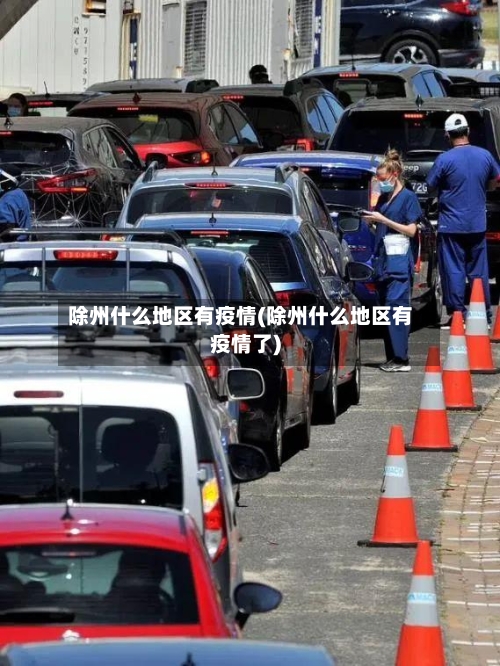 除州什么地区有疫情(除州什么地区有疫情了)-第2张图片