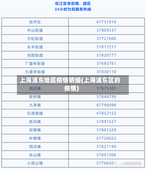 上海浦东地区疫情明细(上海浦东区的疫情)-第3张图片