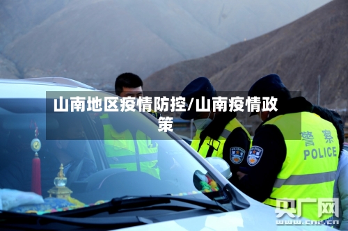 山南地区疫情防控/山南疫情政策-第3张图片