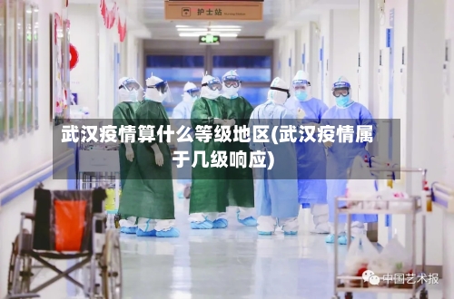 武汉疫情算什么等级地区(武汉疫情属于几级响应)-第2张图片