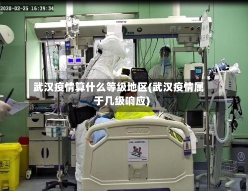 武汉疫情算什么等级地区(武汉疫情属于几级响应)-第3张图片