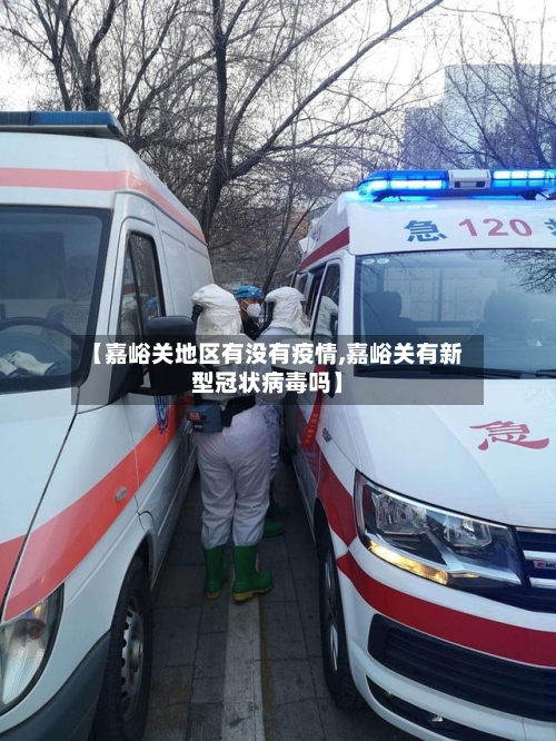 【嘉峪关地区有没有疫情,嘉峪关有新型冠状病毒吗】-第1张图片