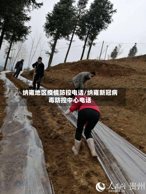 纳雍地区疫情防控电话/纳雍新冠病毒防控中心电话-第1张图片