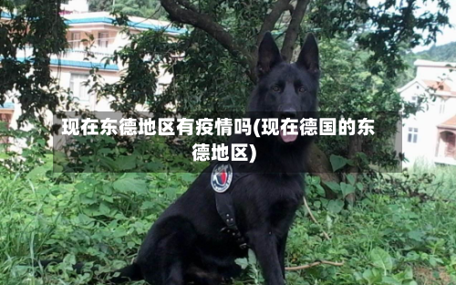 现在东德地区有疫情吗(现在德国的东德地区)-第2张图片