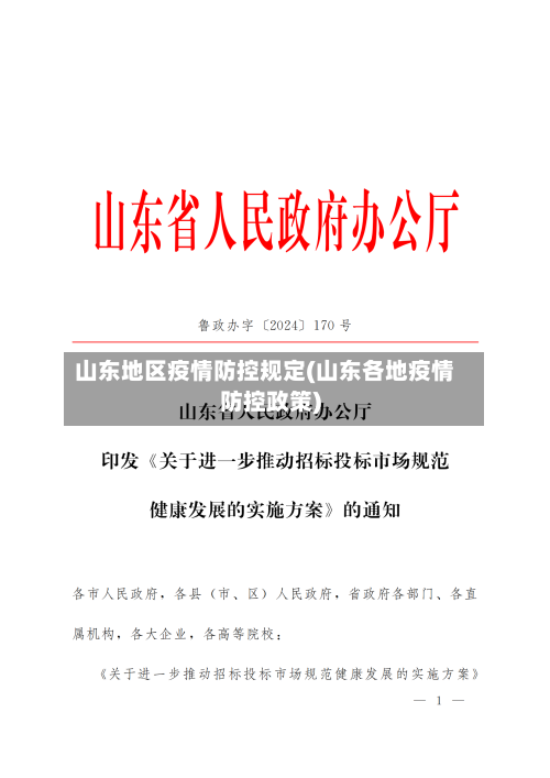 山东地区疫情防控规定(山东各地疫情防控政策)-第3张图片